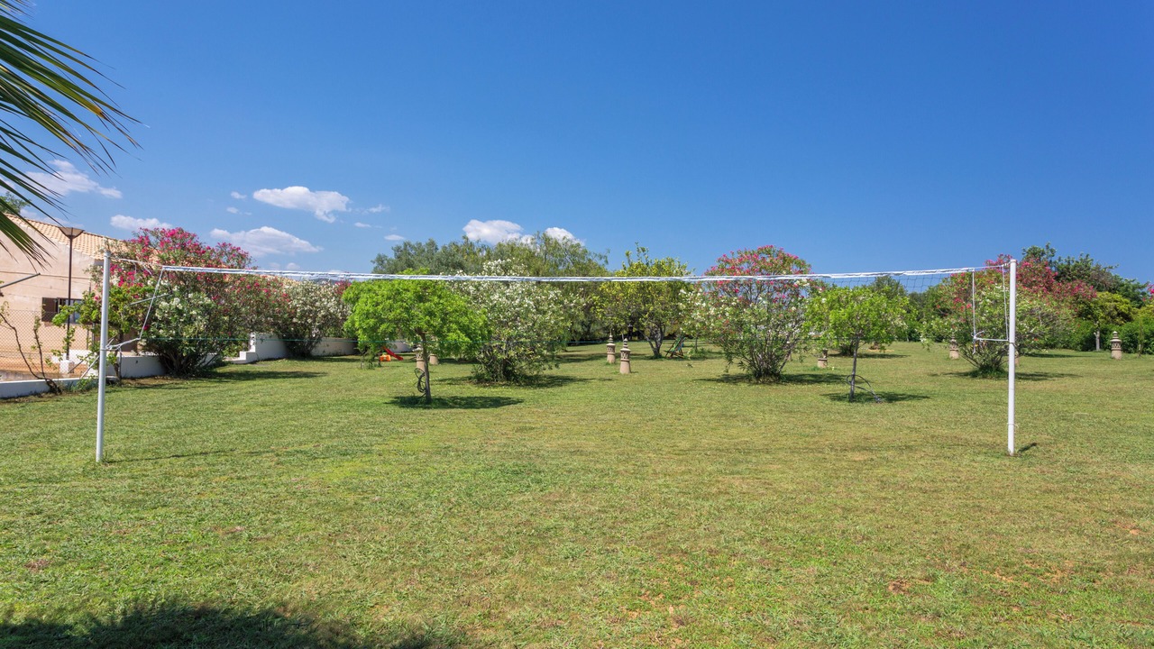 Photo of Outdoor in Estoi