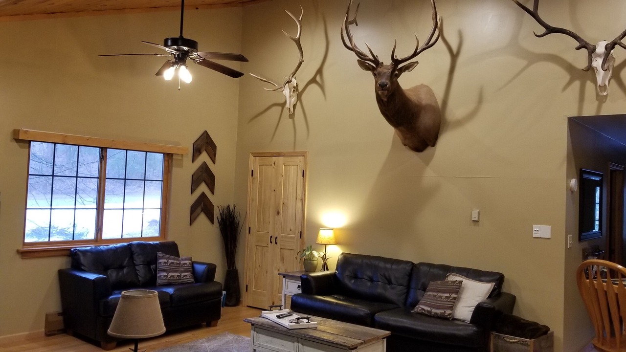 Photo of Livingroom in Brule