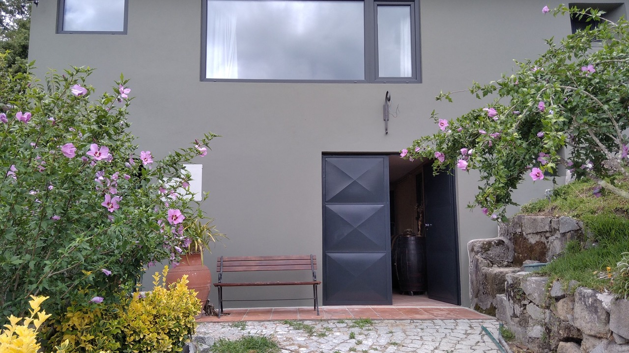 Photo of Others in Ribadouro