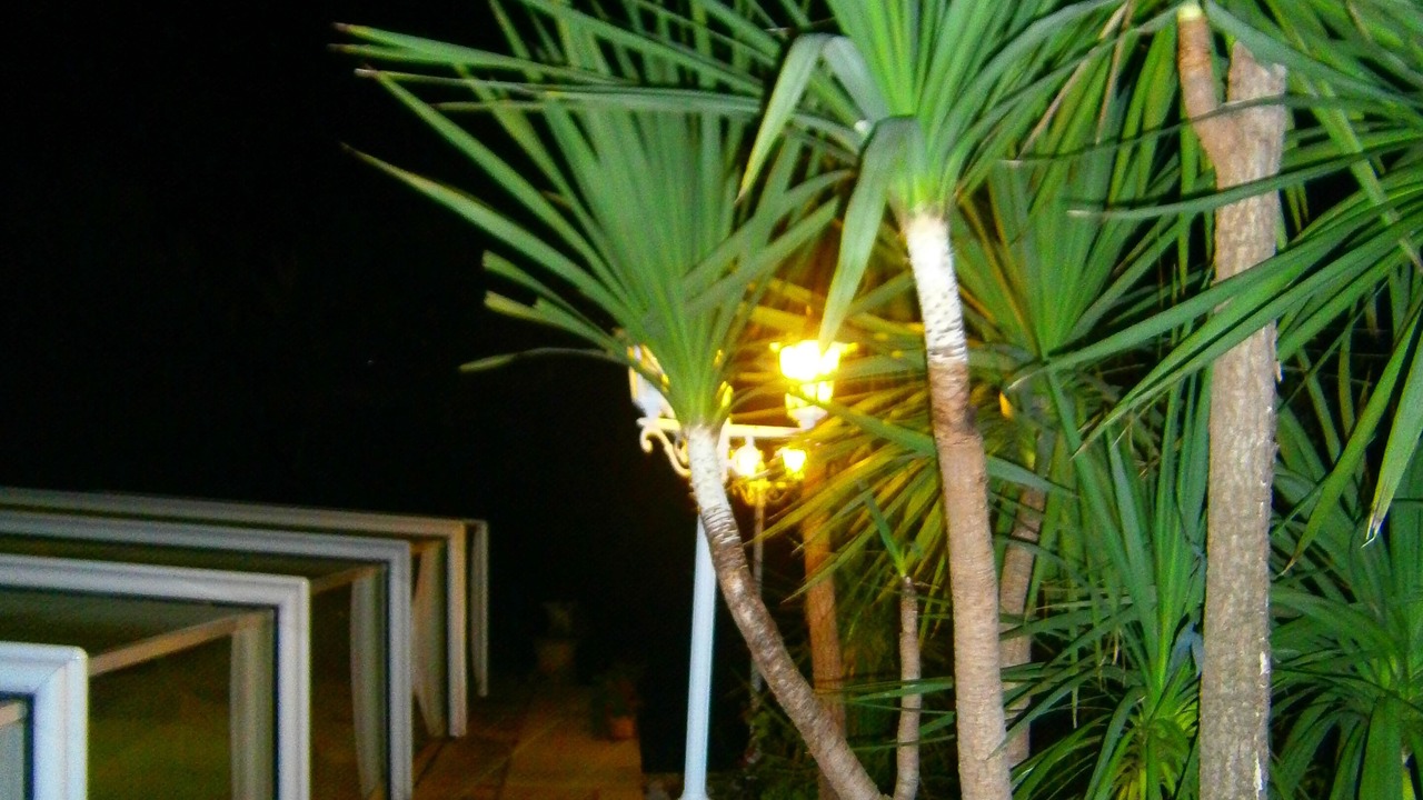 Photo of Outdoor in Draguignan