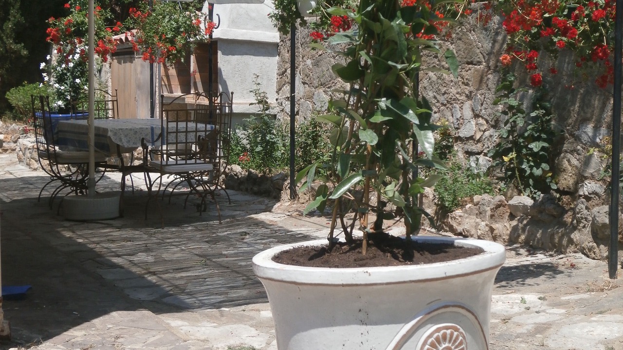 Photo of Outdoor in Draguignan