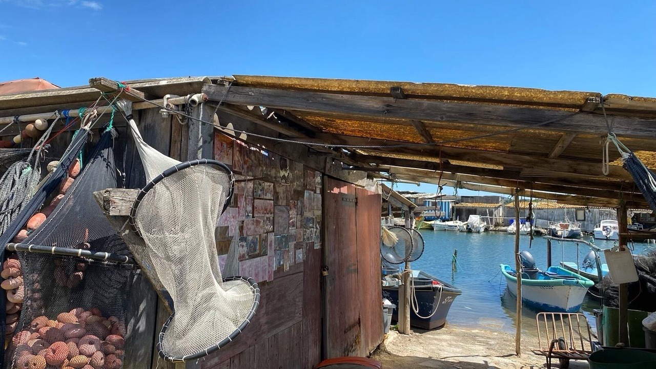 Photo of Outdoor in Sete
