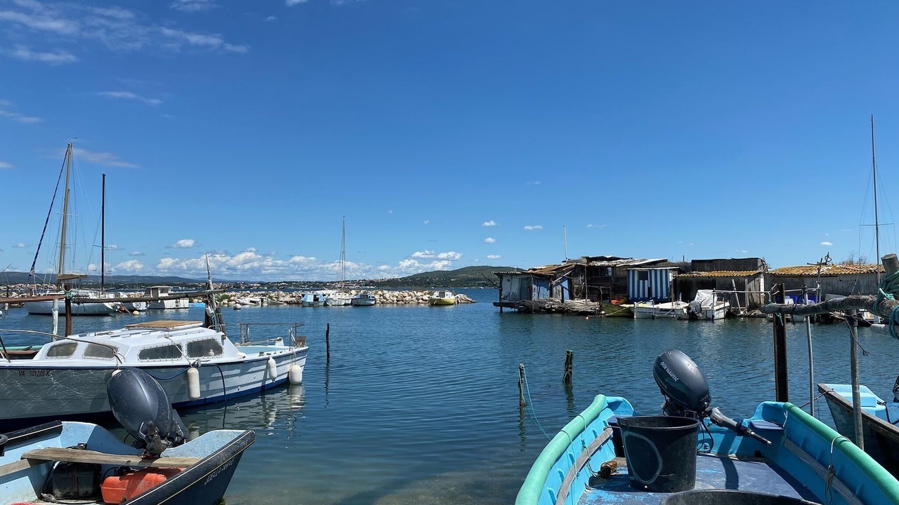 Photo of Others in Sete