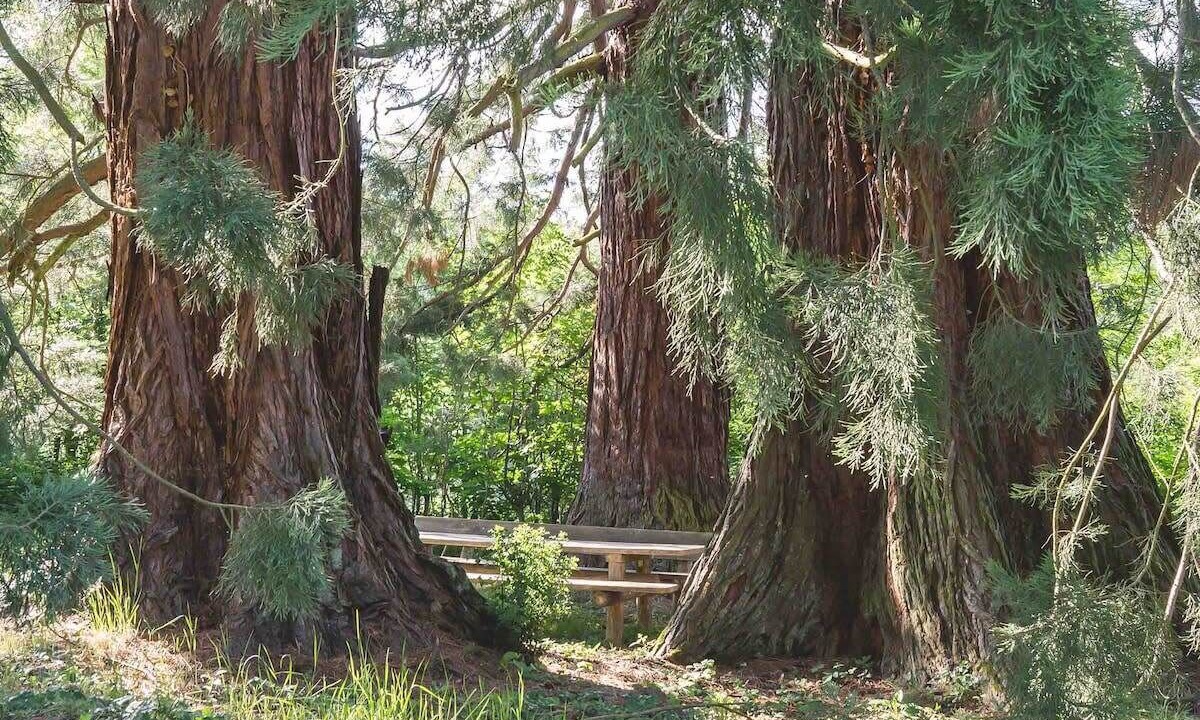 Photo of Outdoor in Guebwiller