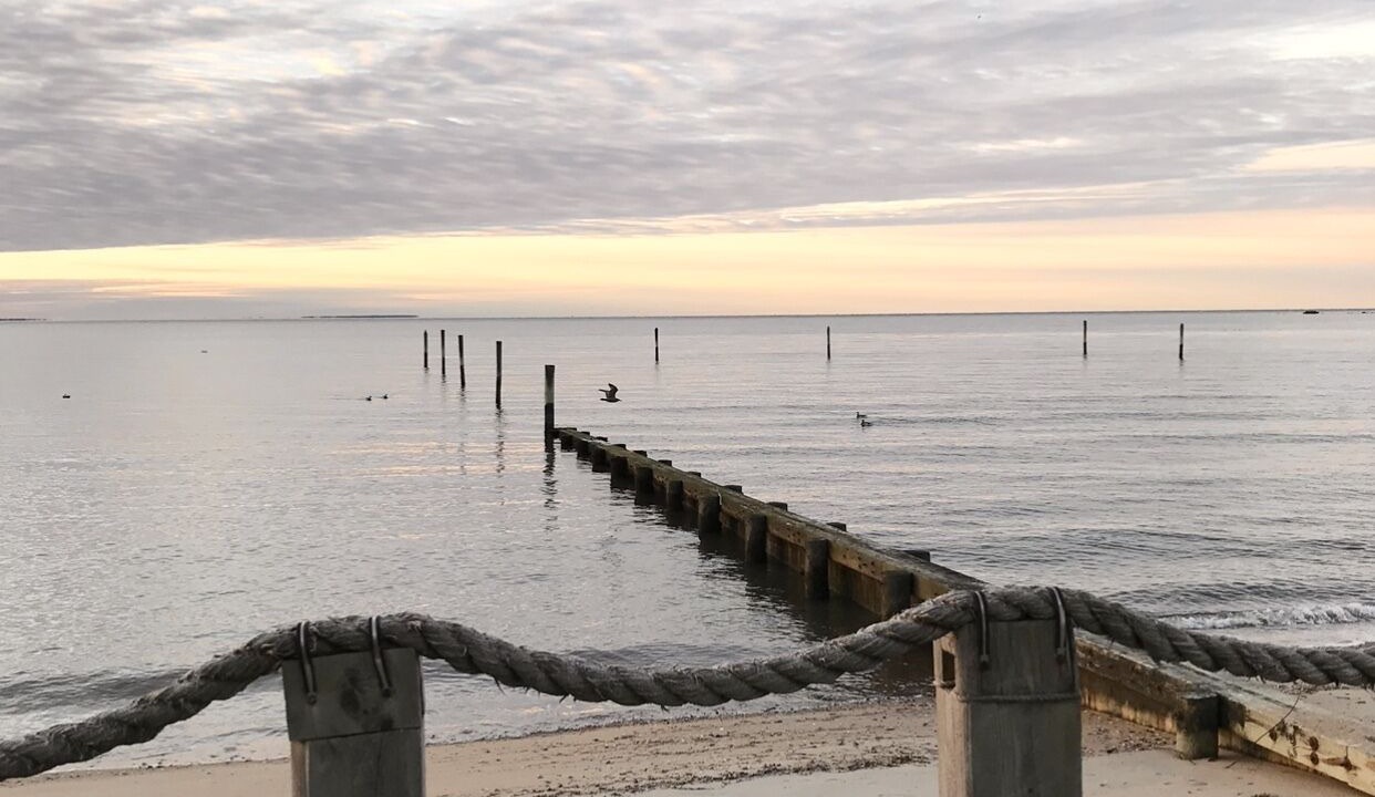 Photo of Others in Old Saybrook