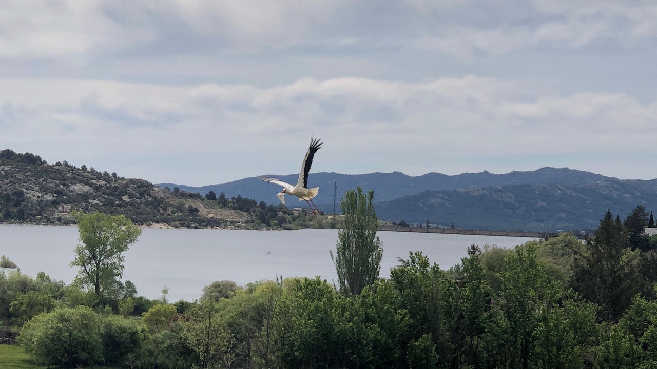 Photo of Others in Navacerrada