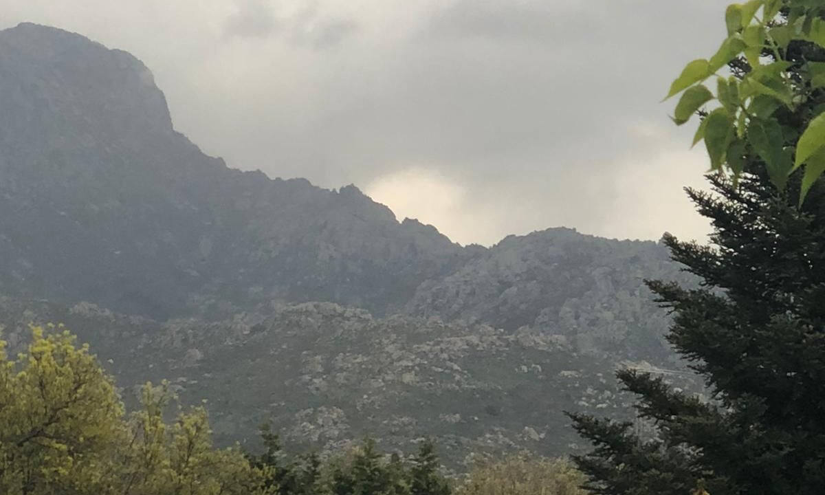 Photo of Others in Navacerrada