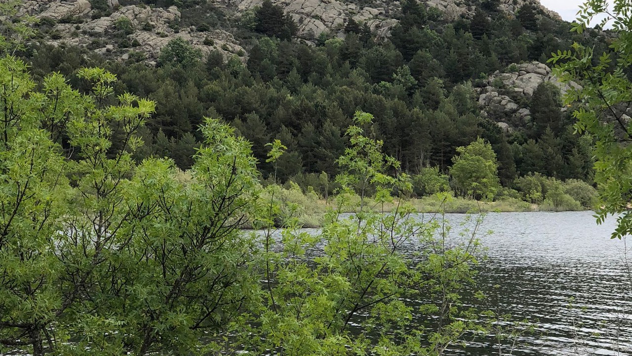 Photo of Outdoor in Navacerrada