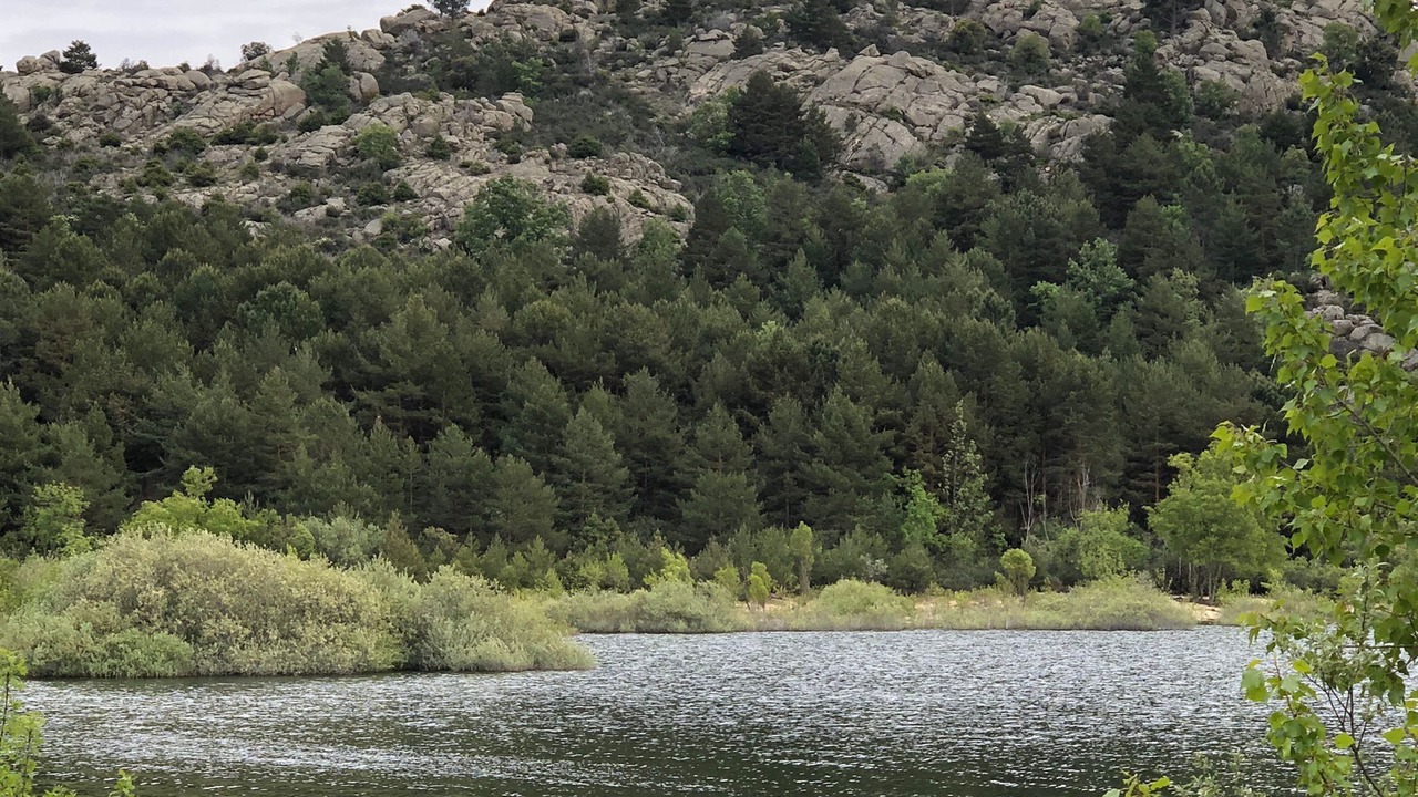 Photo of Others in Navacerrada