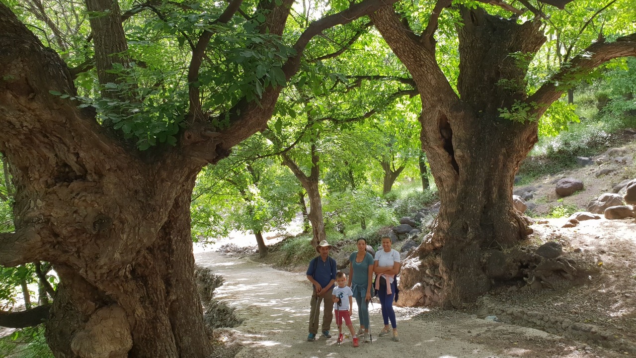 Photo of Outdoor in Imlil