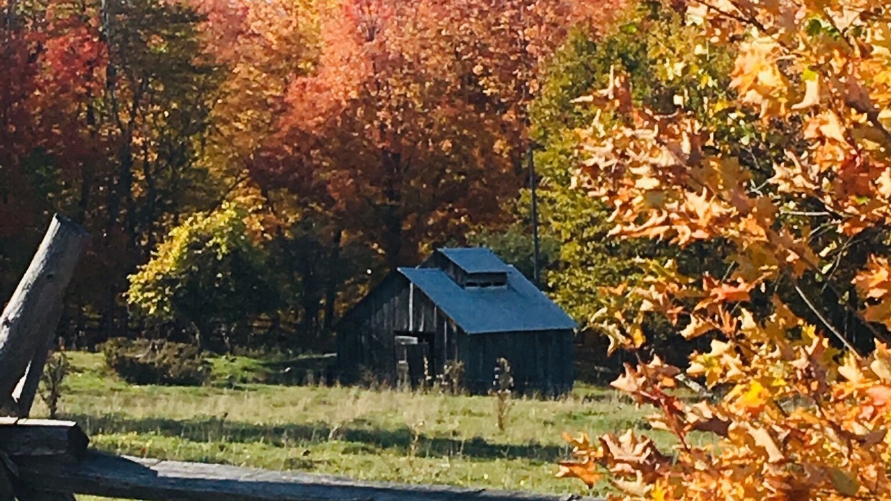 Photo of Outdoor in Lanark Highlands