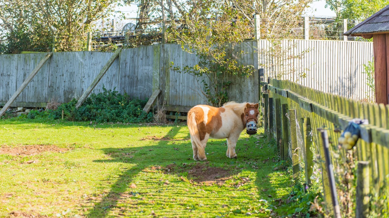 Photo of Outdoor in Hawkinge