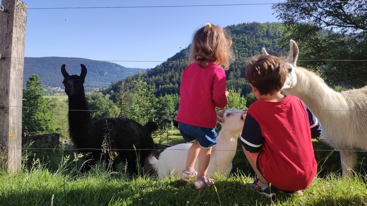Photo of Outdoor in Dommartin-les-Remiremont