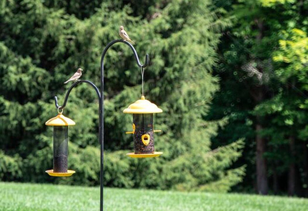 Photo of Outdoor in Logan