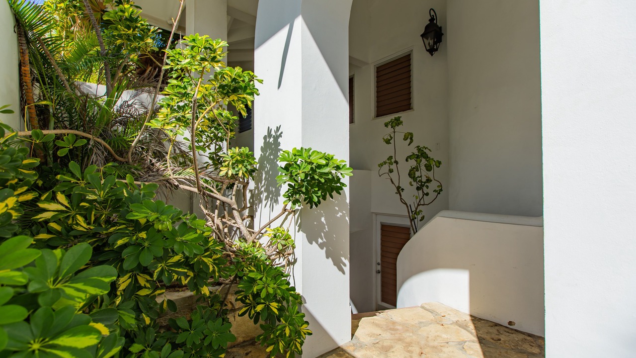 Photo of Outdoor in Estate La Vallee