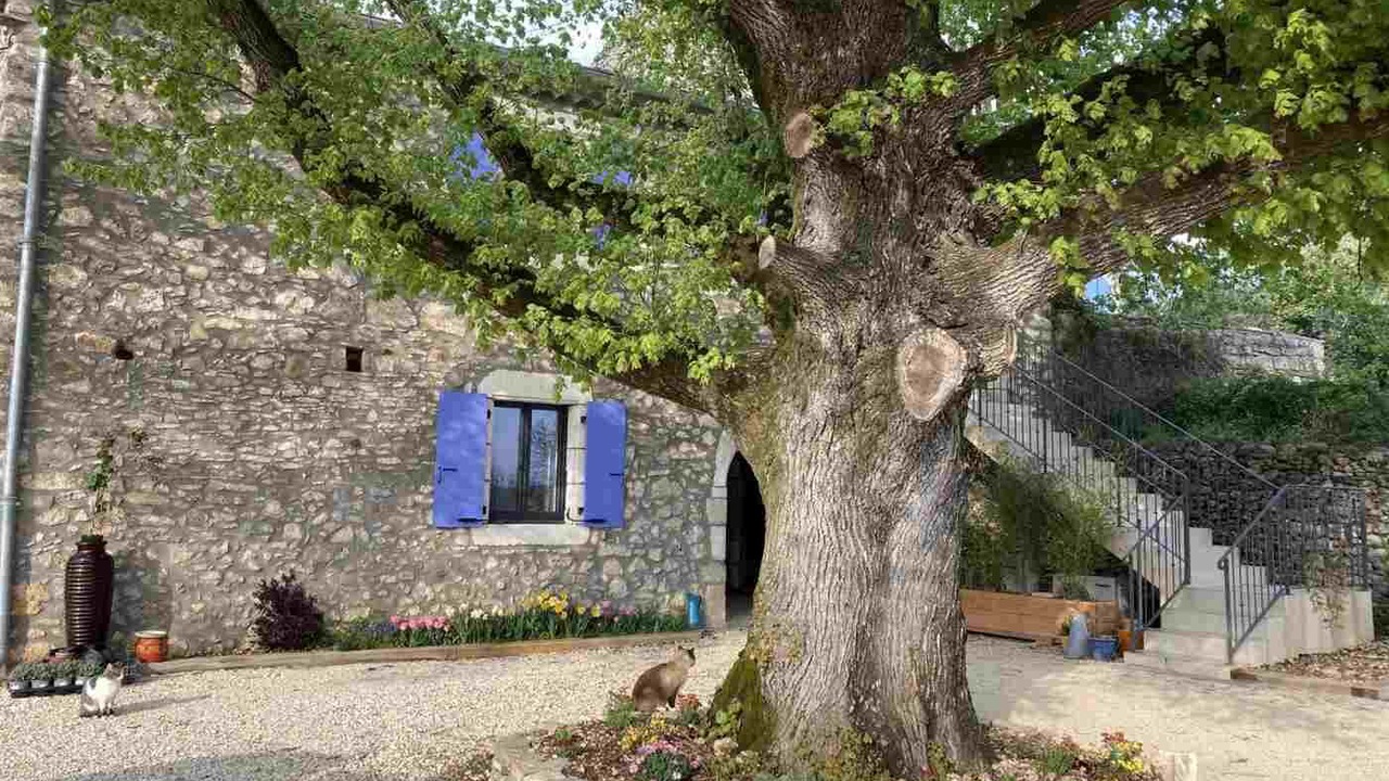 Photo of Outdoor in Lagorce
