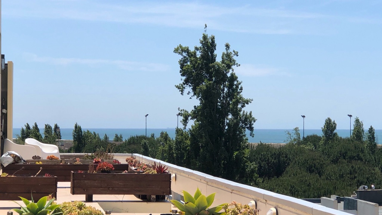 Photo of Patio Balcony in Carvalhal