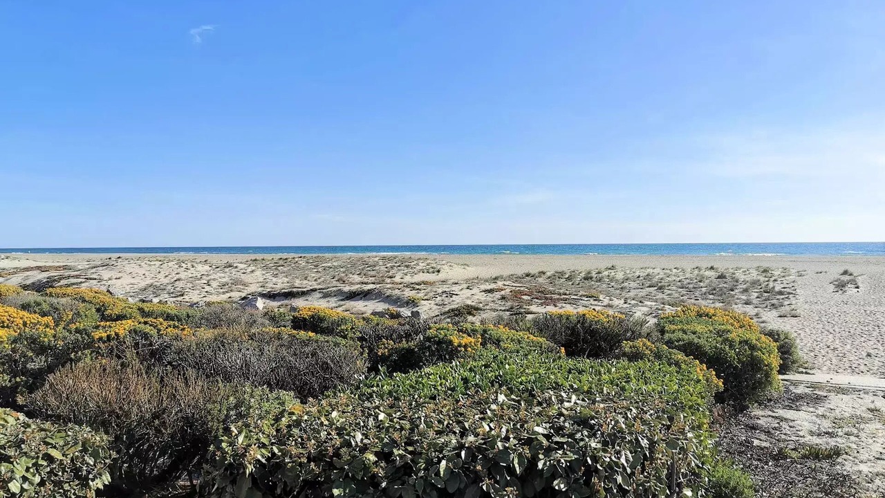 Photo of Others in Port Leucate