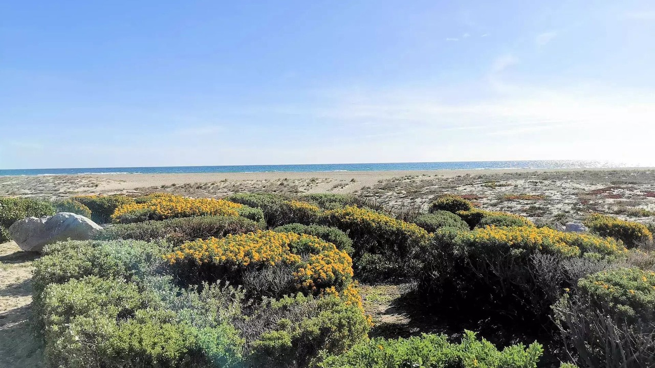 Photo of Others in Port Leucate