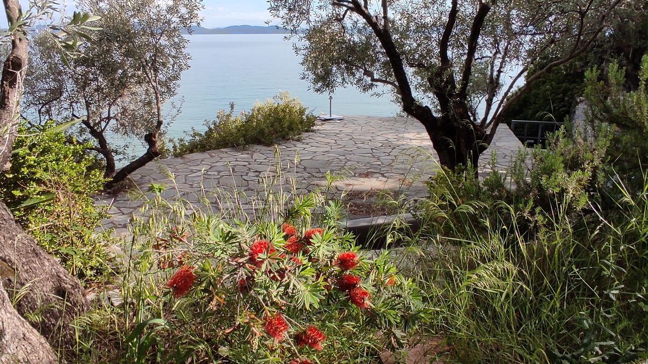 Photo of Outdoor in Kato Gatzea