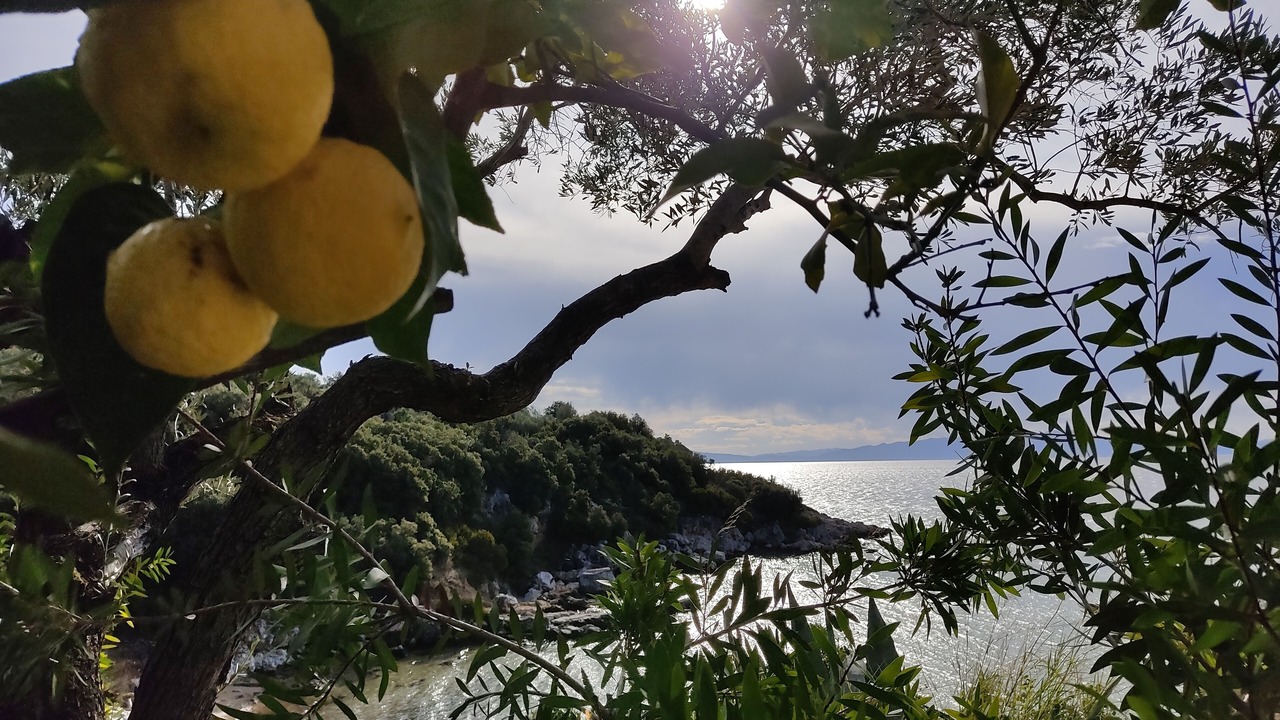 Photo of Outdoor in Kato Gatzea