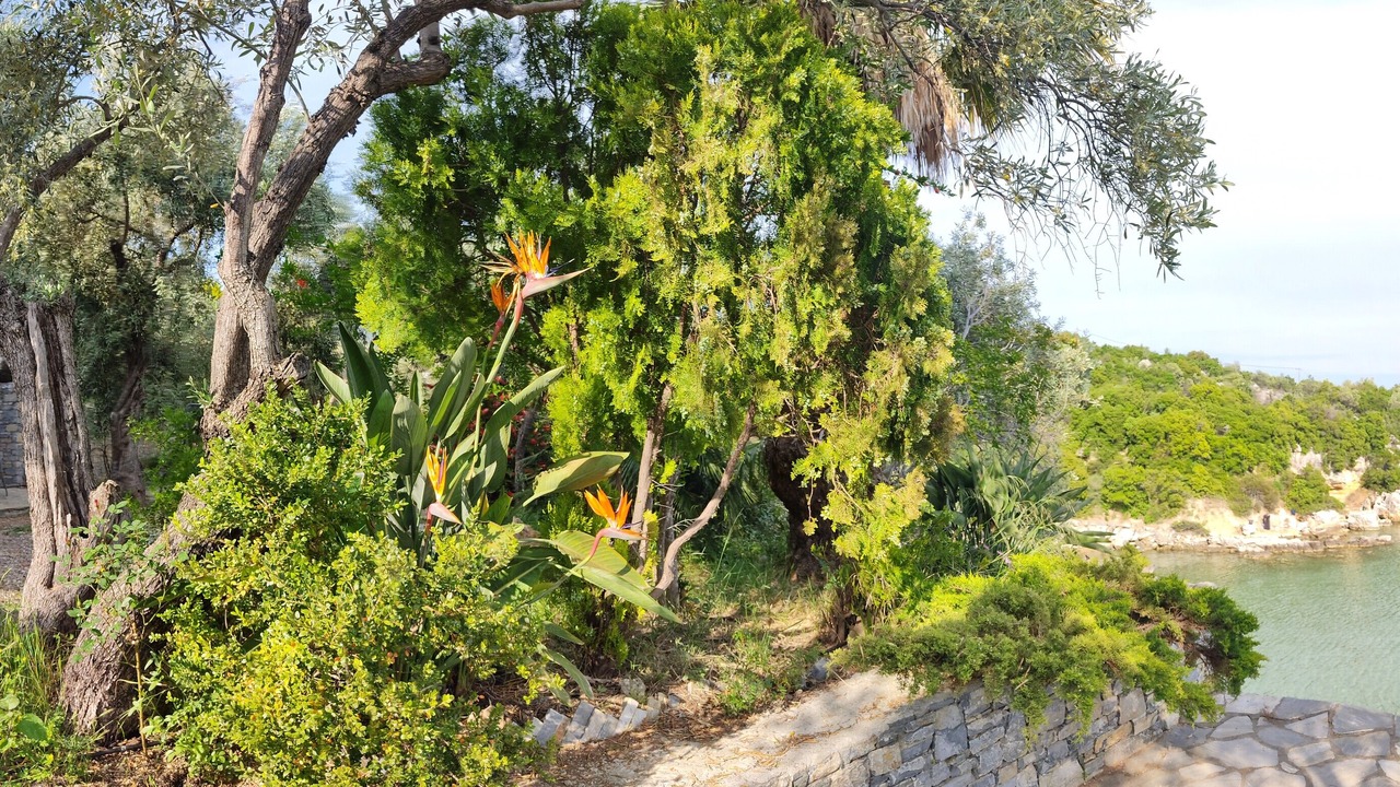 Photo of Outdoor in Kato Gatzea