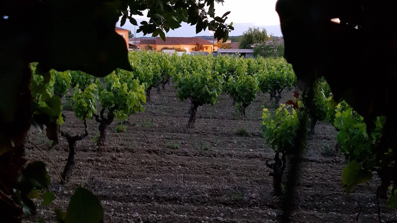 Photo of Outdoor in Villeveyrac