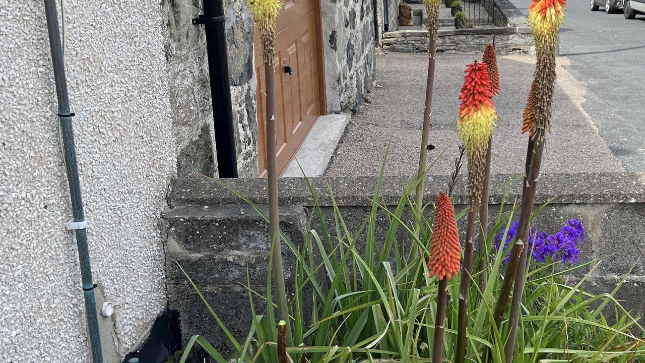 Photo of Others in Portsoy