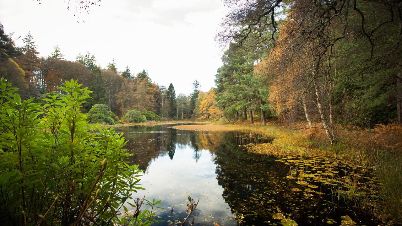 Photo of Outdoor in Elgin