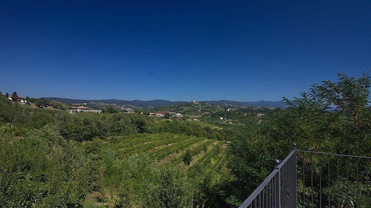 Photo of Outdoor in Brda