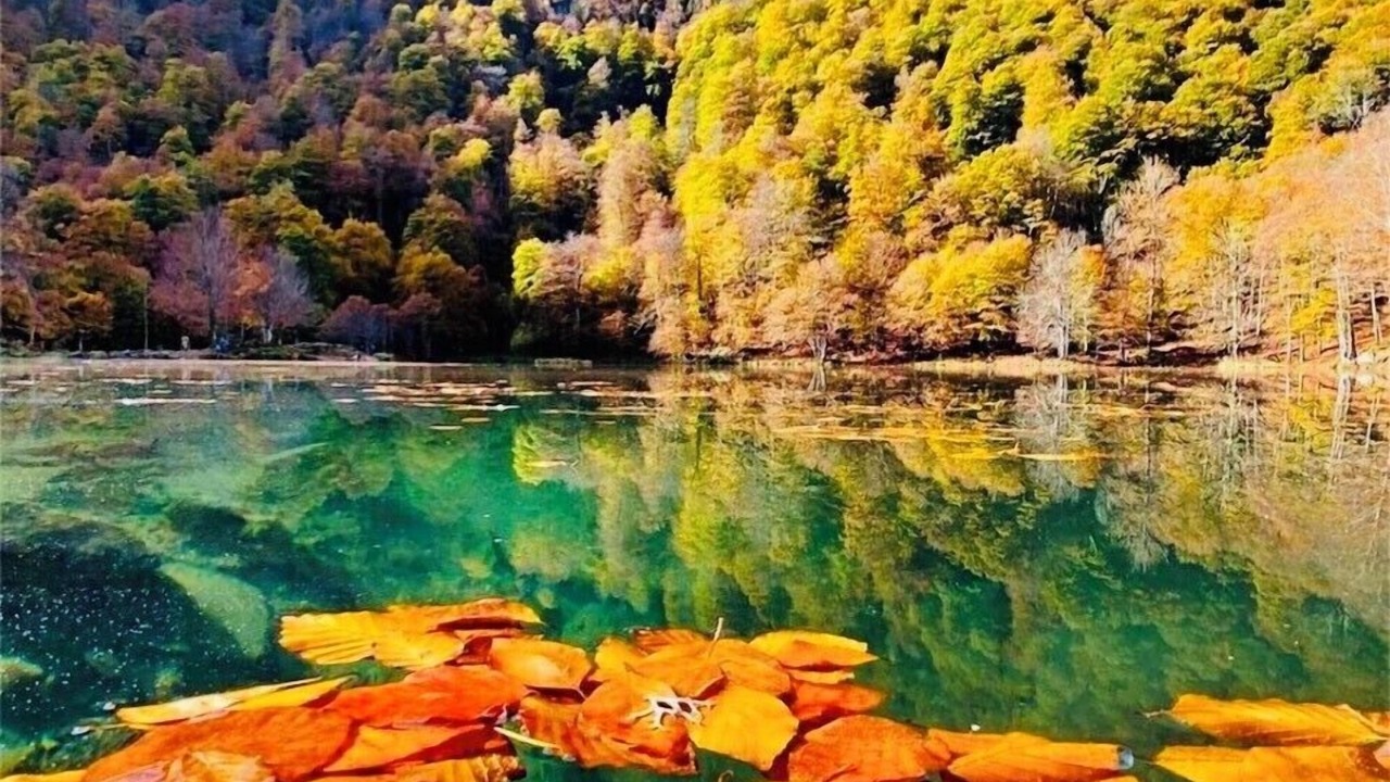 Photo of Outdoor in Ussat