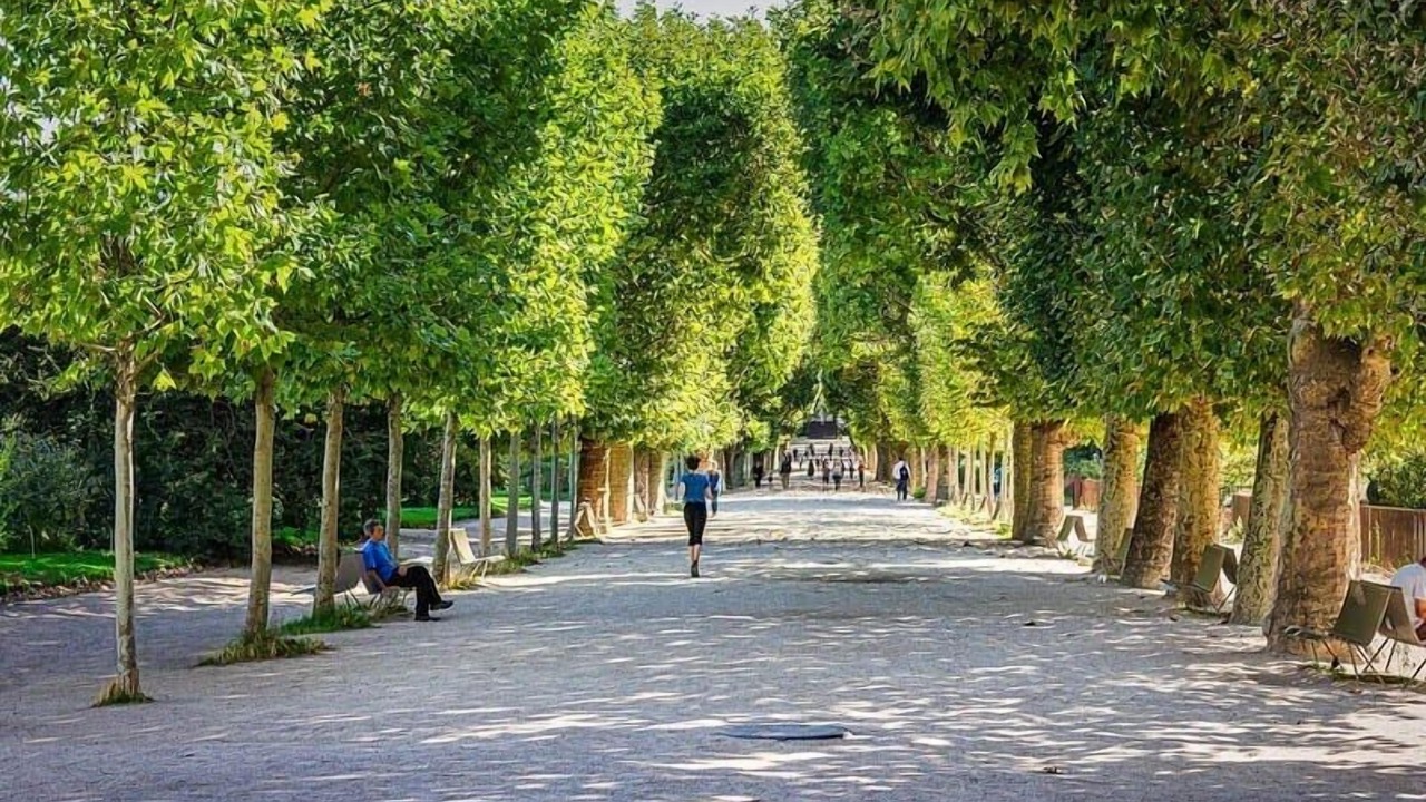 Photo of Others in Jardin des plantes