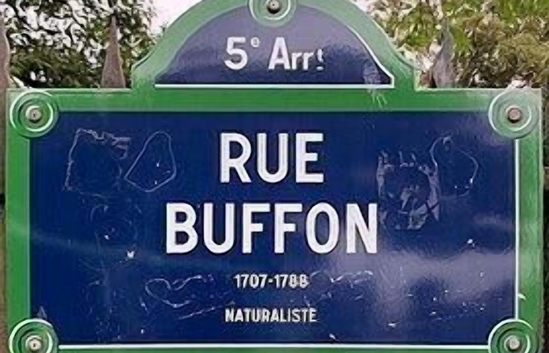 Photo of Others in Jardin des plantes