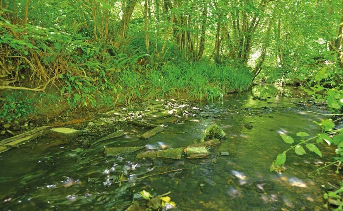 Photo of Outdoor in Holcombe Burnell