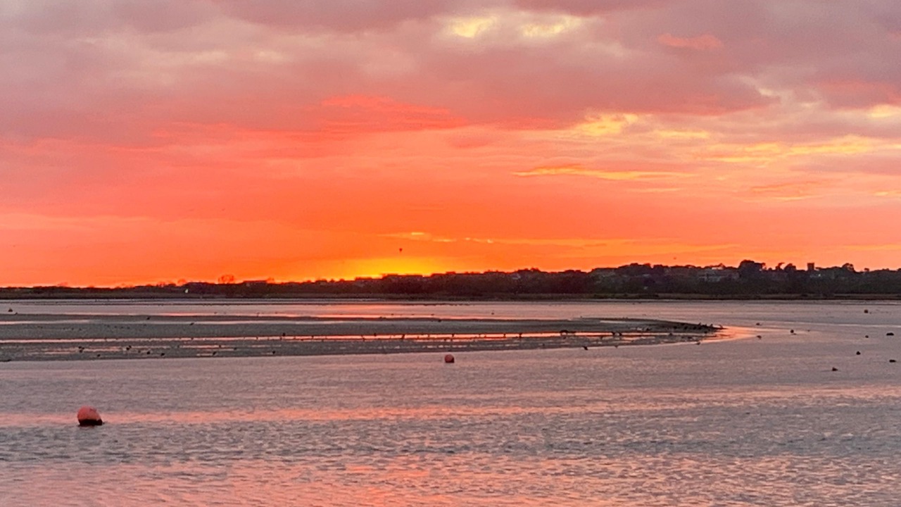 Photo of Others in Mudeford