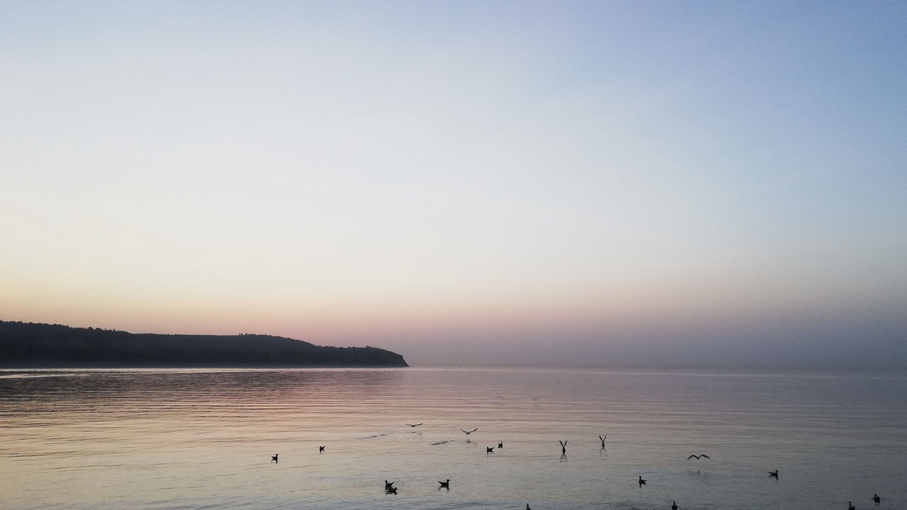 Photo of Others in Koper