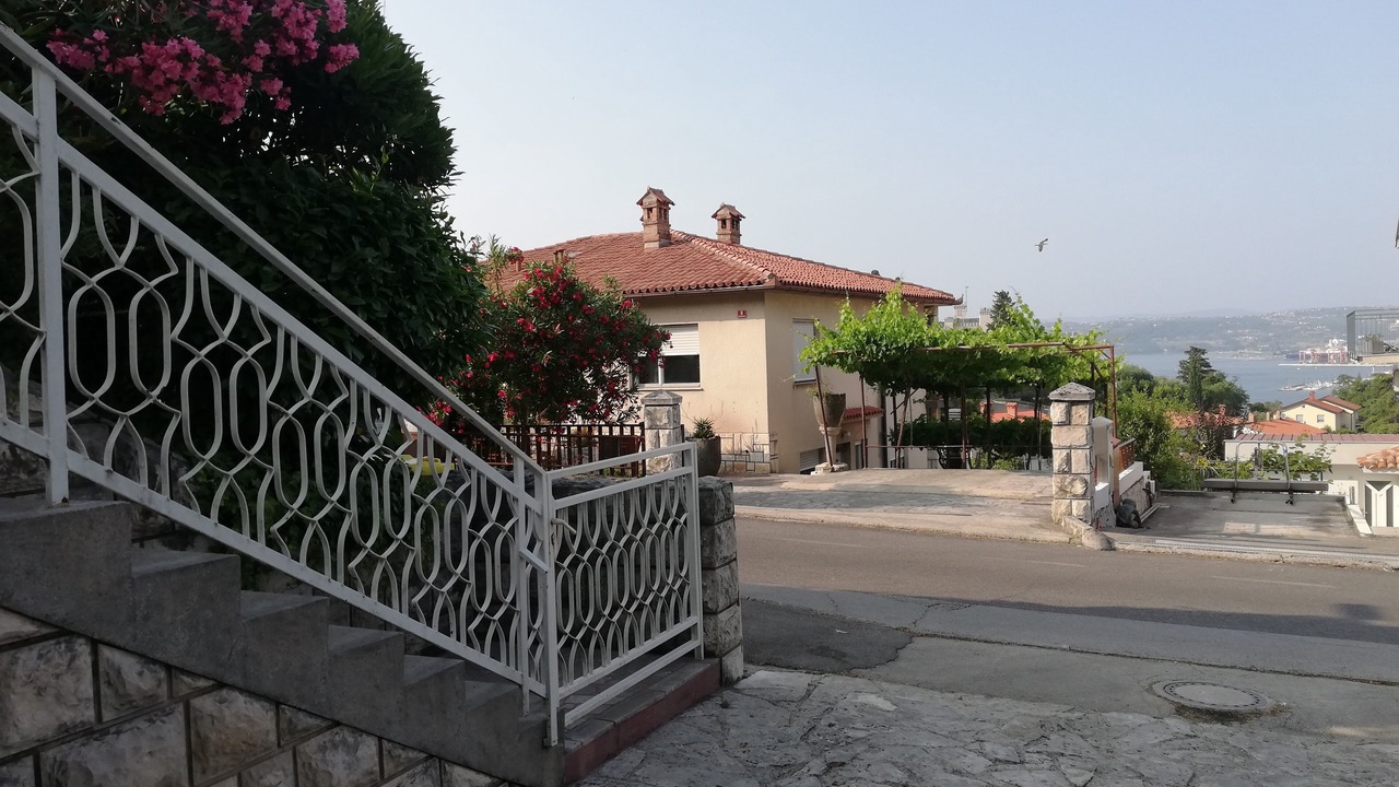 Photo of Others in Koper