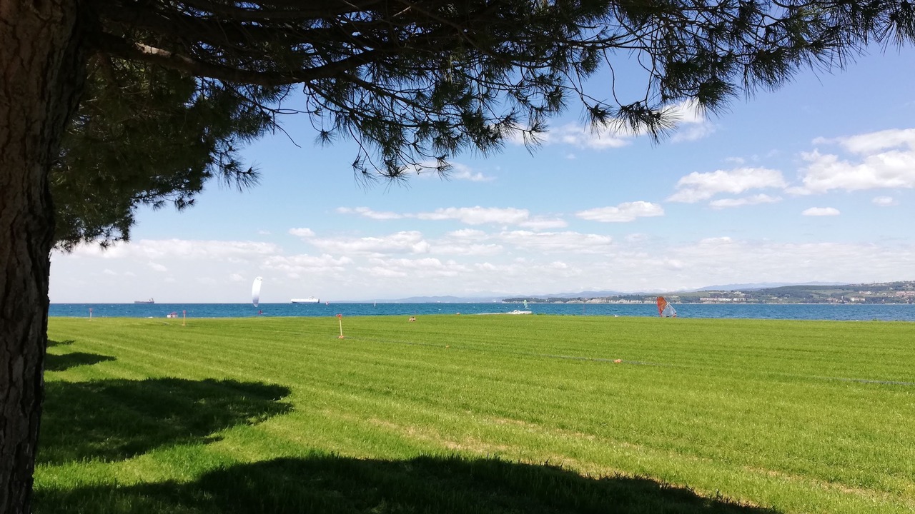 Photo of Others in Koper