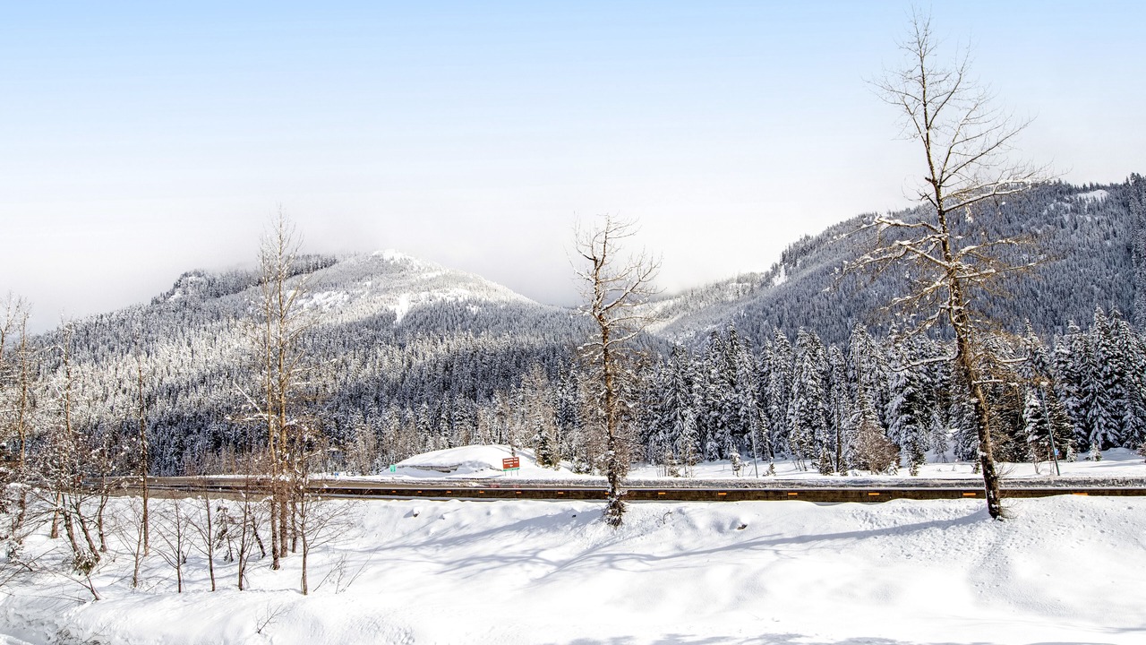 Photo of Others in Snoqualmie Pass