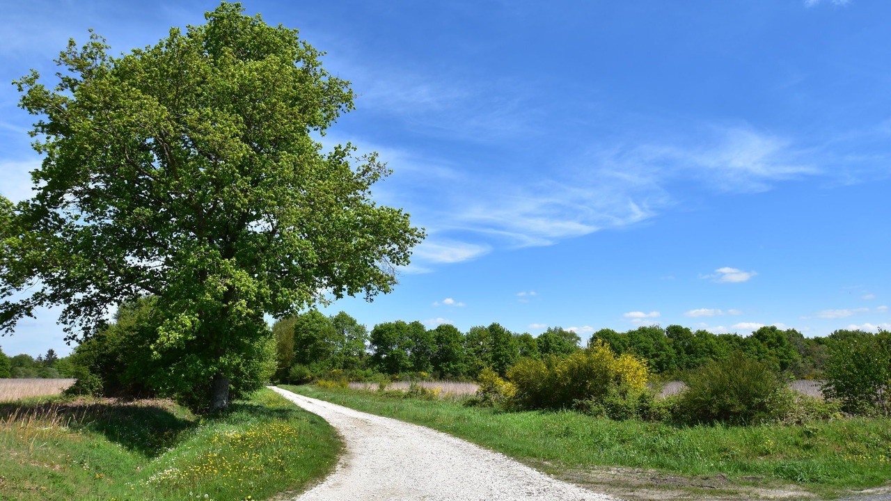 Photo of Others in Combreux