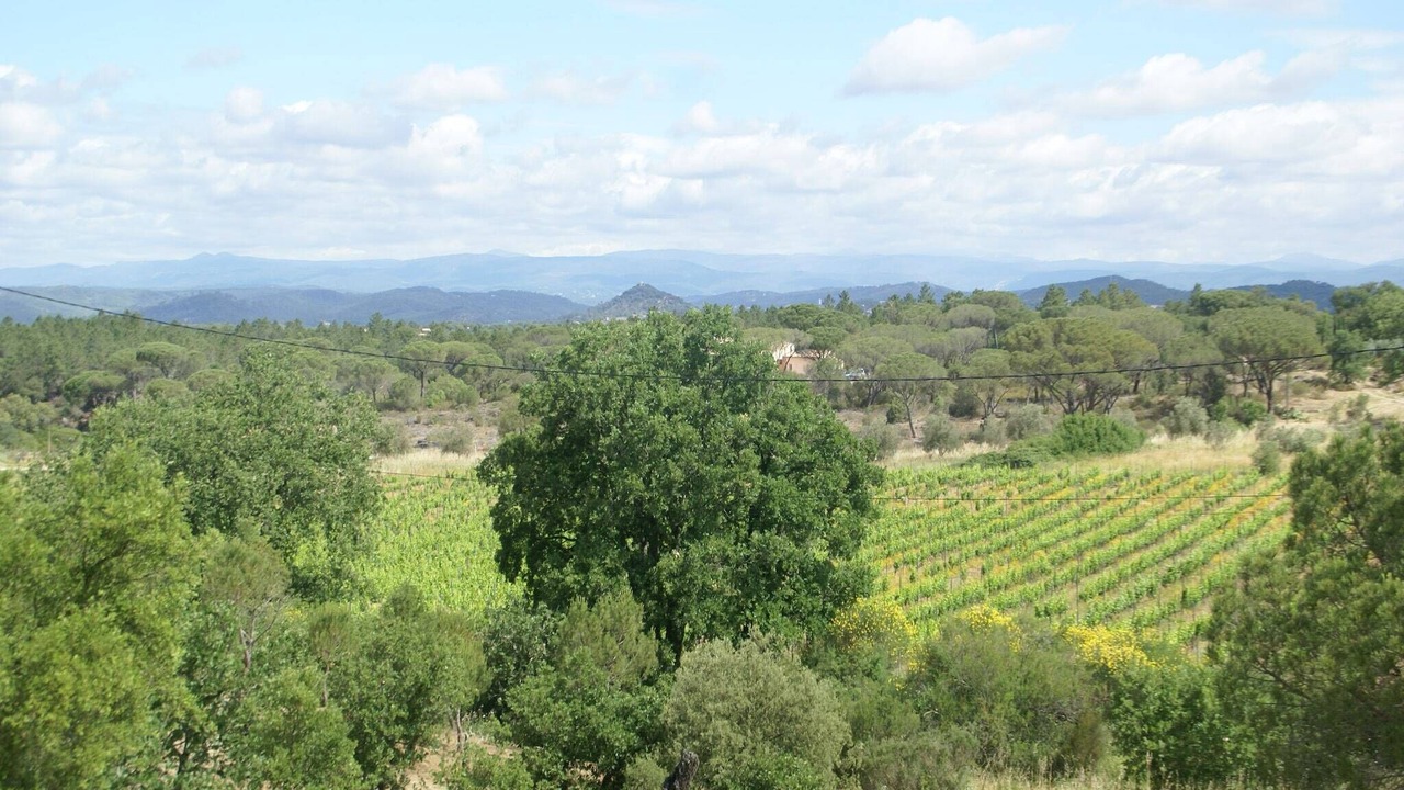 Photo of Others in Vidauban