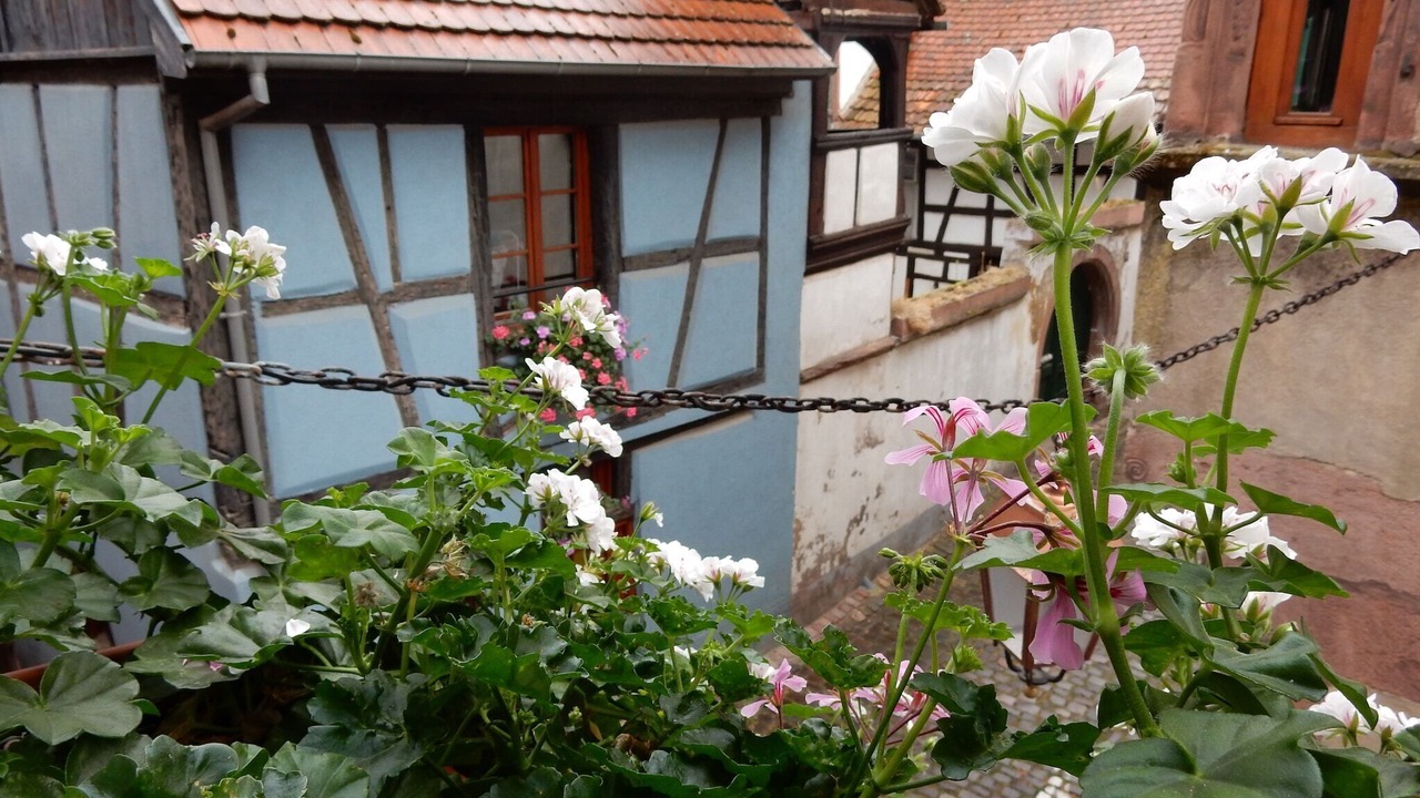 Photo of Others in Riquewihr