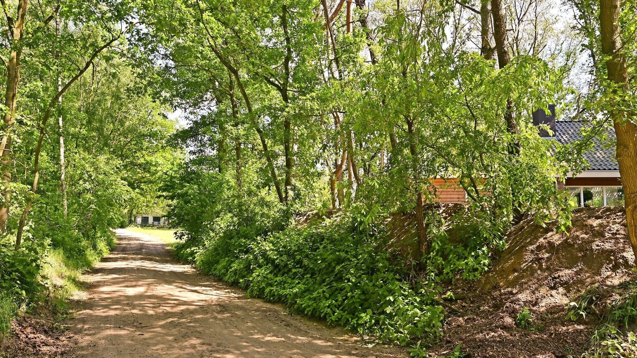 Photo of Others in Reutum