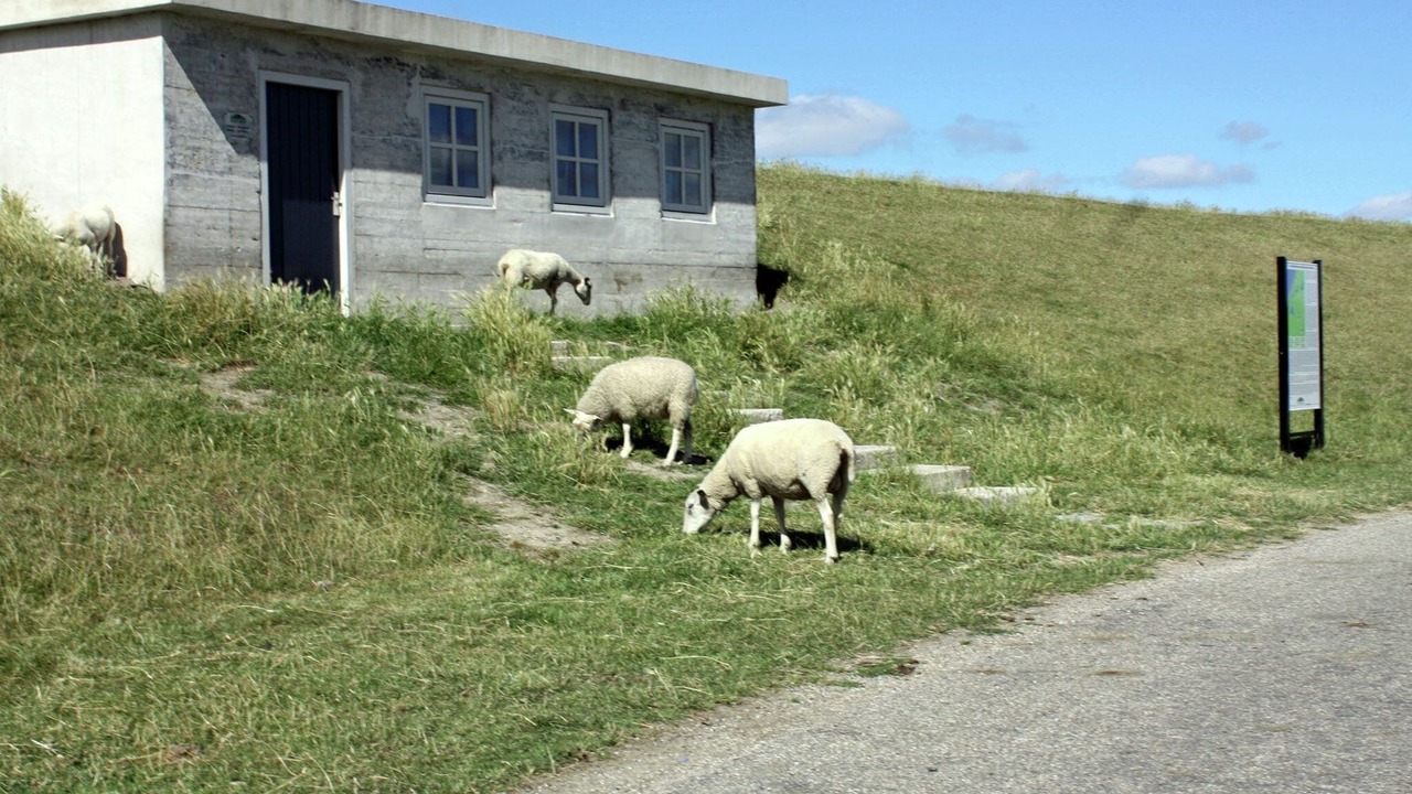 Photo of Others in Koehool