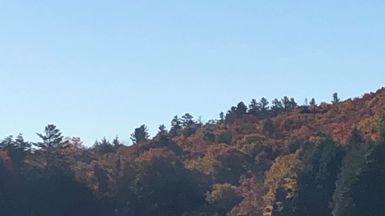 Photo of Others in Dorset