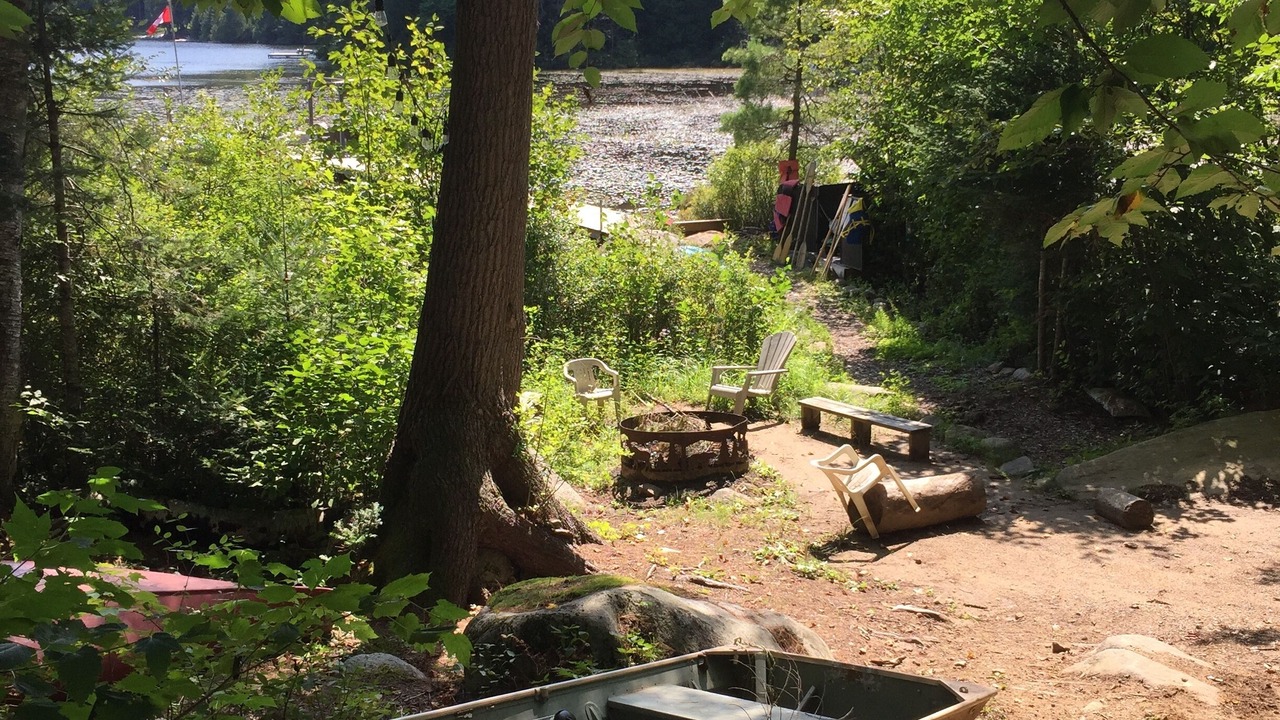 Photo of Outdoor in Dorset