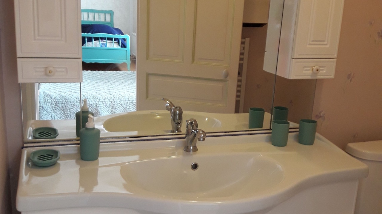 Photo of Bathroom in Saint-Hilaire-la-Palud