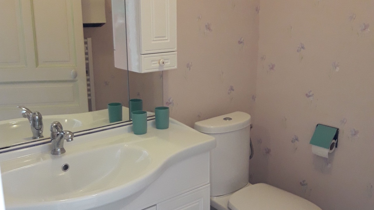 Photo of Bathroom in Saint-Hilaire-la-Palud