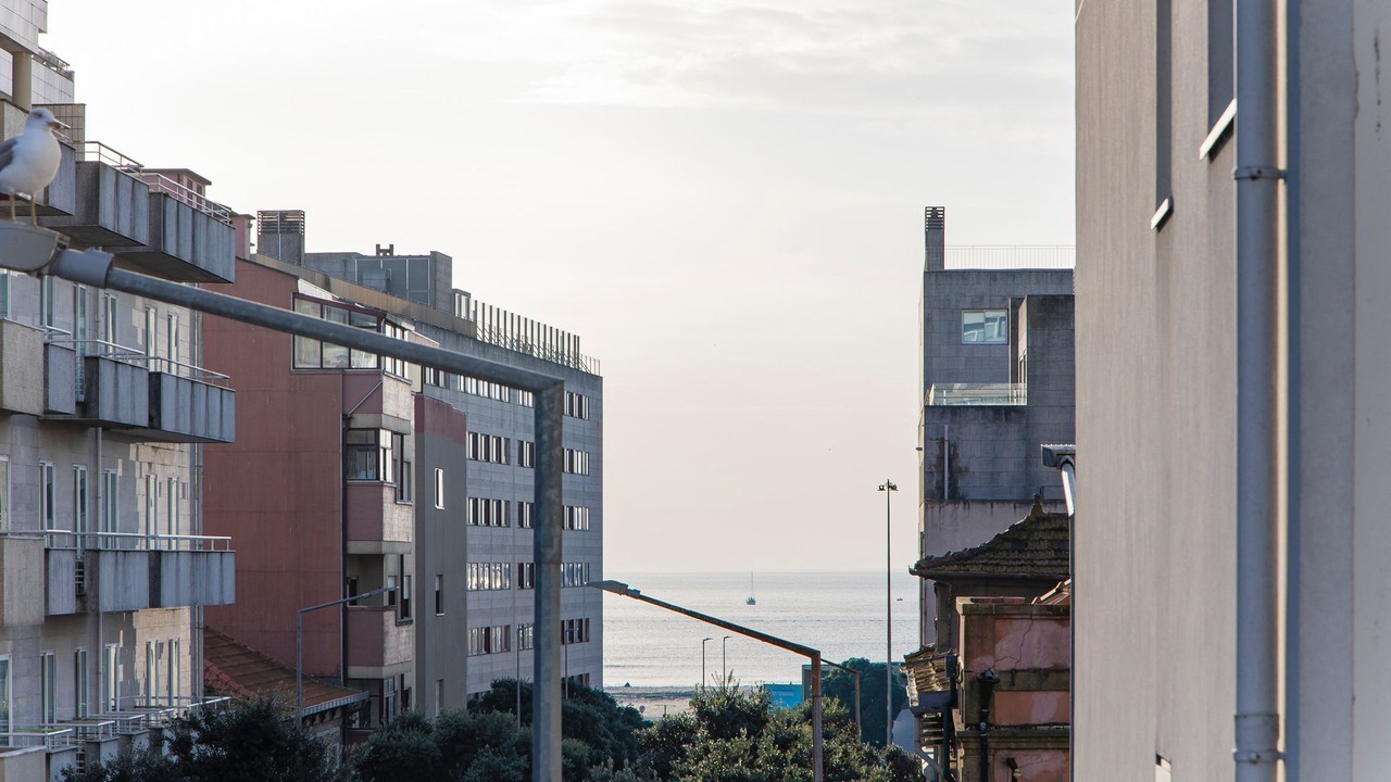 Photo of Others in Leixões