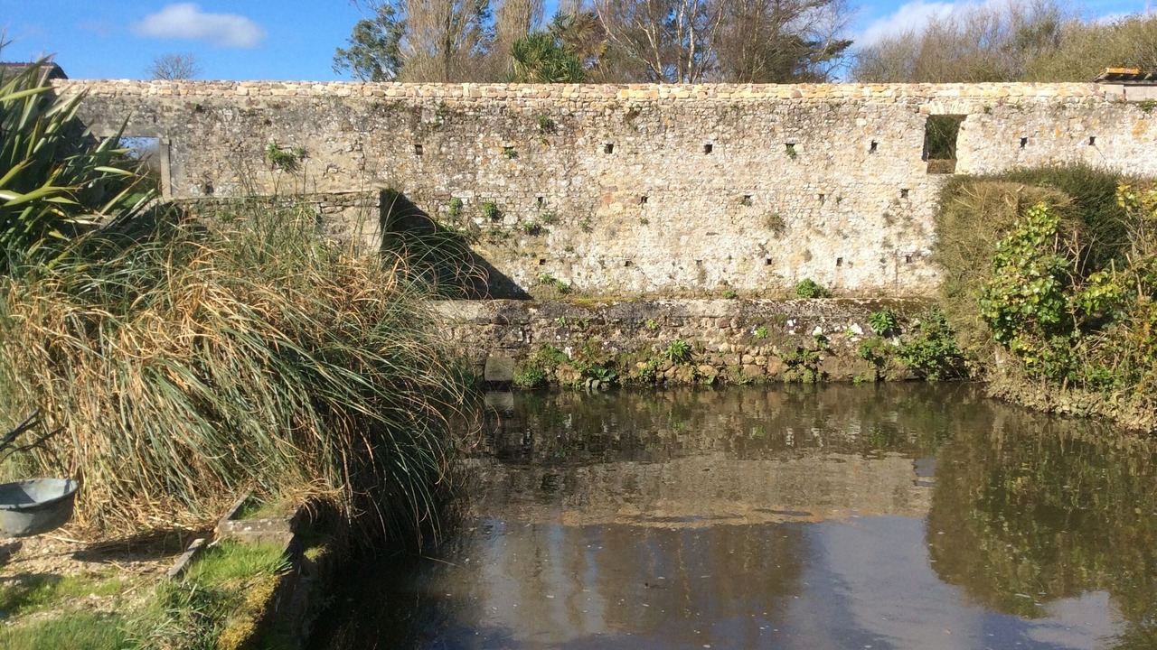 Photo of Others in Cotentin Peninsula